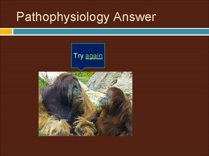 Pathophysiology Answer Try again 