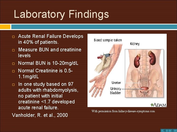 Laboratory Findings Acute Renal Failure Develops in 40% of patients. Measure BUN and creatinine