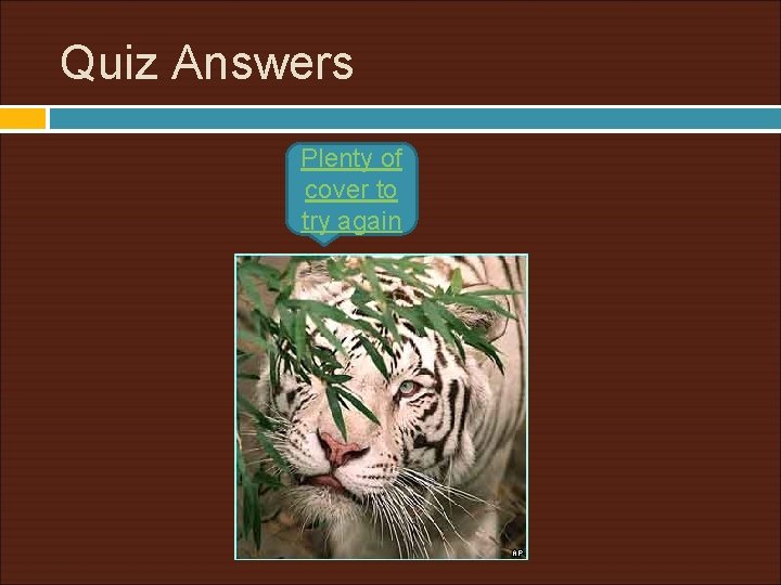 Quiz Answers Plenty of cover to try again 