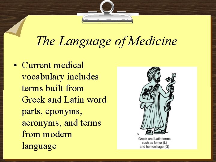 The Language of Medicine • Current medical vocabulary includes terms built from Greek and