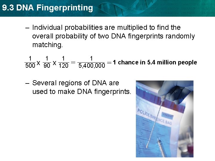 9. 3 DNA Fingerprinting – Individual probabilities are multiplied to find the overall probability
