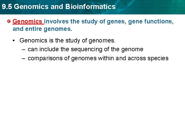 9. 5 Genomics and Bioinformatics Genomics involves the study of genes, gene functions, and
