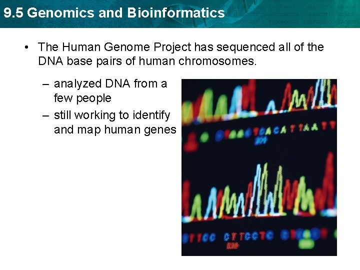 9. 5 Genomics and Bioinformatics • The Human Genome Project has sequenced all of
