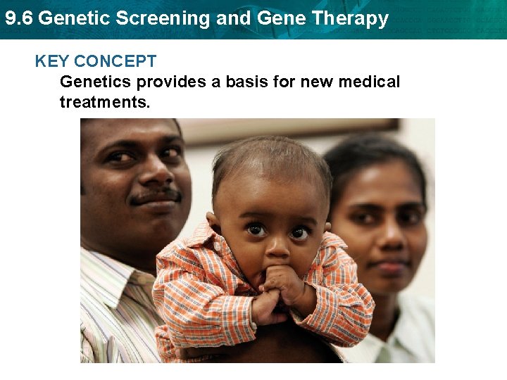 9. 6 Genetic Screening and Gene Therapy KEY CONCEPT Genetics provides a basis for
