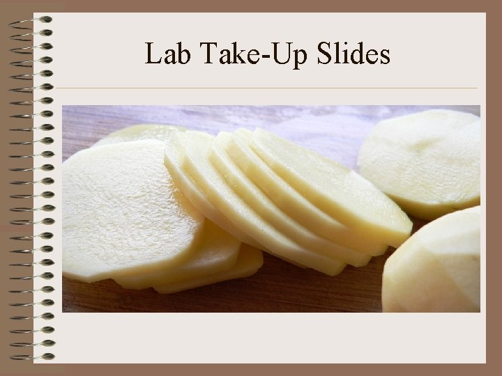 Lab Take-Up Slides 