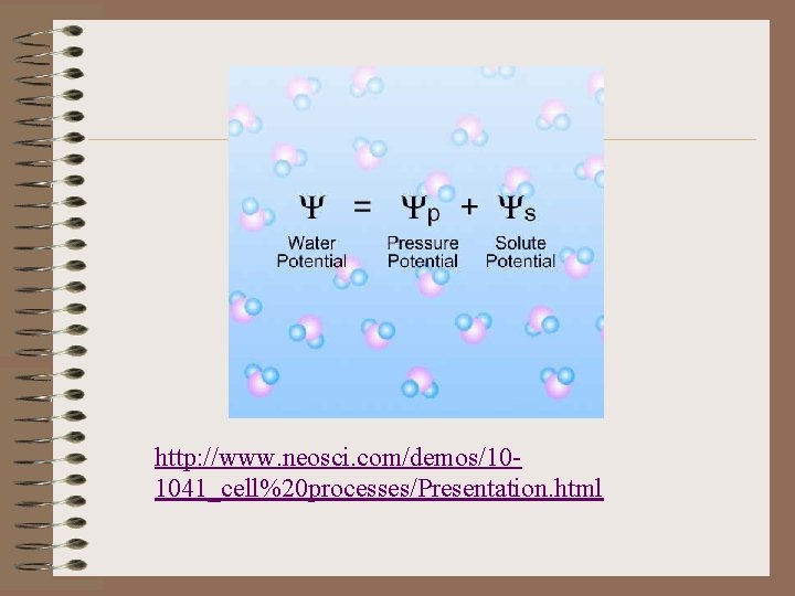 http: //www. neosci. com/demos/101041_cell%20 processes/Presentation. html 