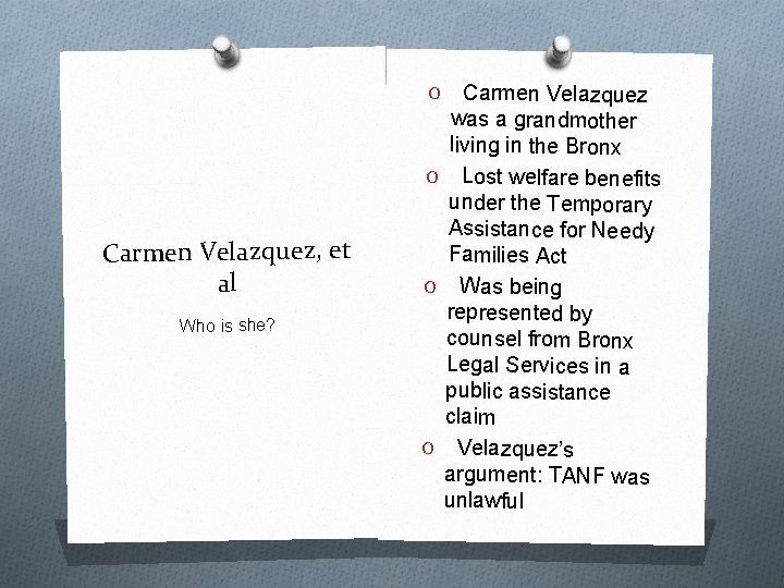 Carmen Velazquez was a grandmother living in the Bronx O Lost welfare benefits under