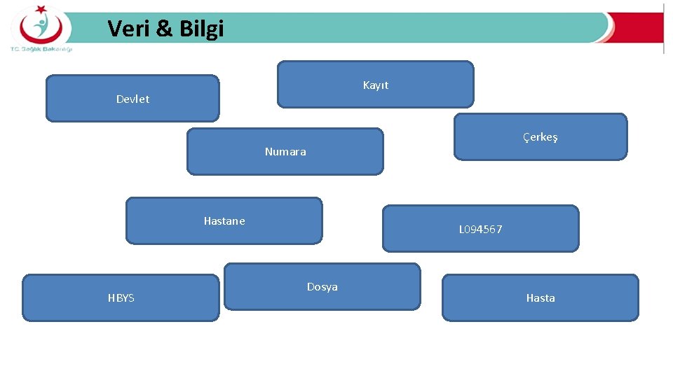 Veri & Bilgi Kayıt Devlet Çerkeş Numara Hastane HBYS L 094567 Dosya Hasta 