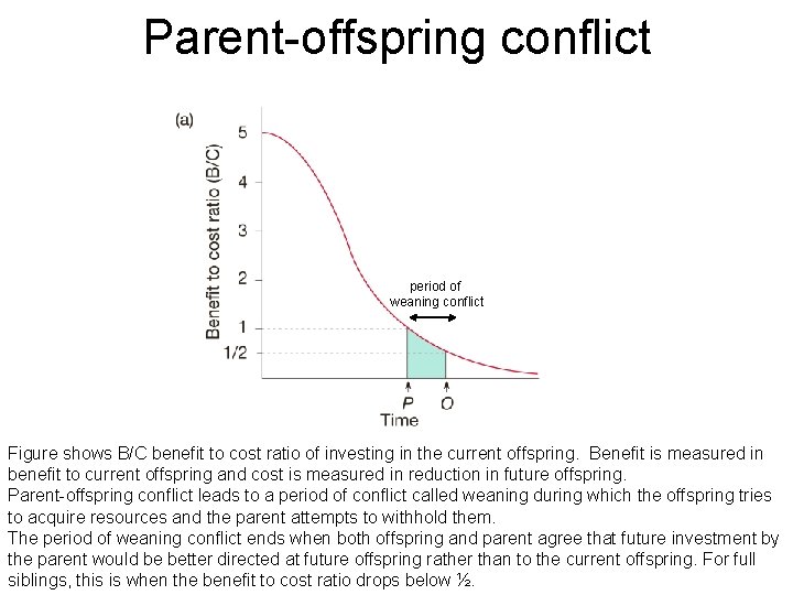 Parent-offspring conflict period of weaning conflict Figure shows B/C benefit to cost ratio of