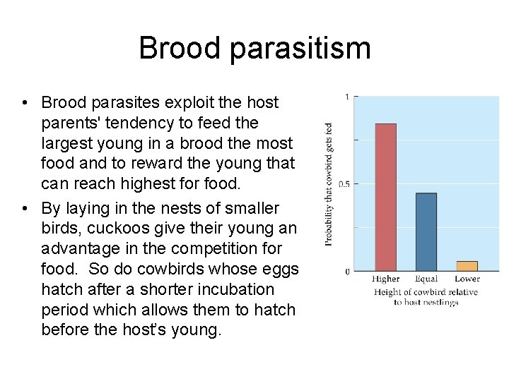 Brood parasitism • Brood parasites exploit the host parents' tendency to feed the largest