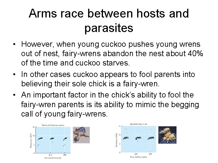 Arms race between hosts and parasites • However, when young cuckoo pushes young wrens