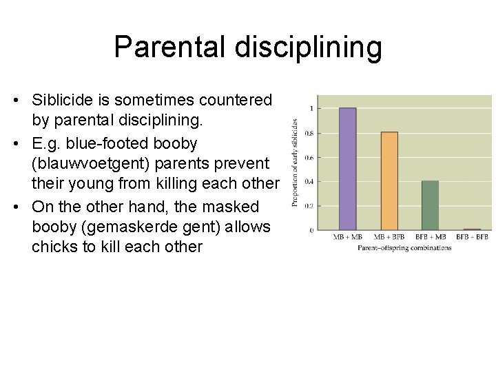 Parental disciplining • Siblicide is sometimes countered by parental disciplining. • E. g. blue-footed