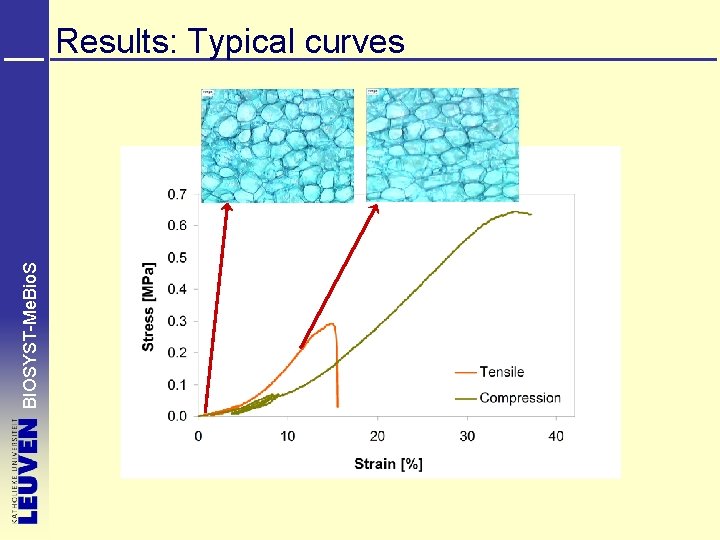 BIOSYST-Me. Bio. S Results: Typical curves 