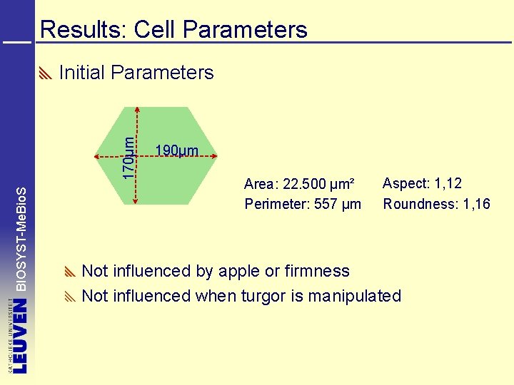 Results: Cell Parameters BIOSYST-Me. Bio. S 170µm Initial Parameters 190µm Area: 22. 500 µm²