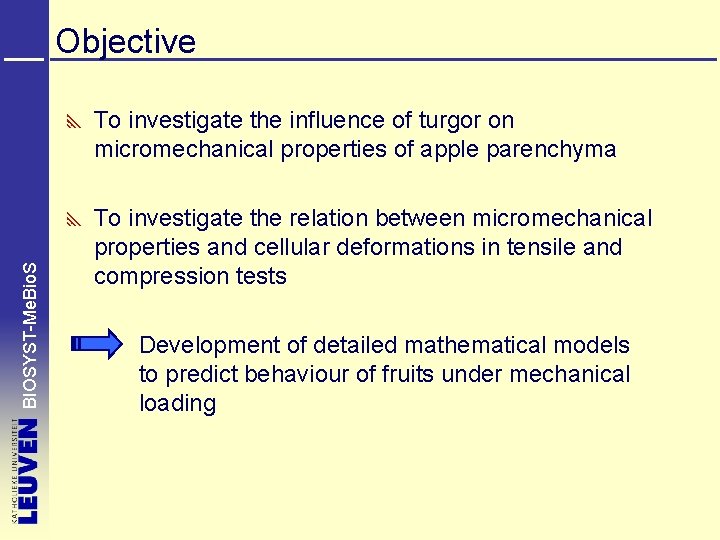 Objective BIOSYST-Me. Bio. S To investigate the influence of turgor on micromechanical properties of