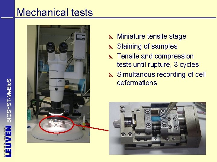 BIOSYST-Me. Bio. S Mechanical tests Miniature tensile stage Staining of samples Tensile and compression
