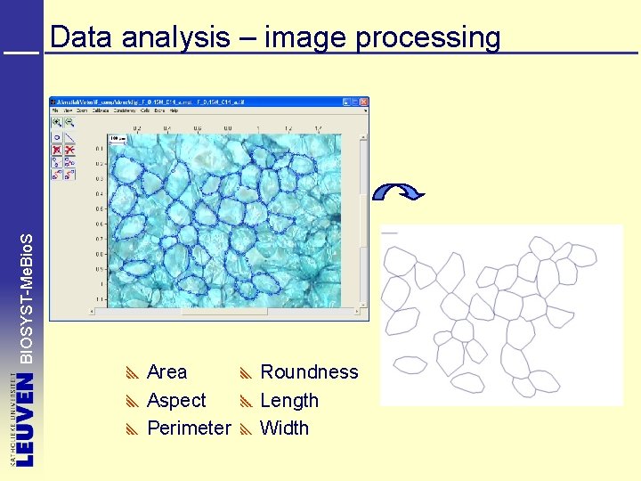 BIOSYST-Me. Bio. S Data analysis – image processing Area Aspect Perimeter Roundness Length Width