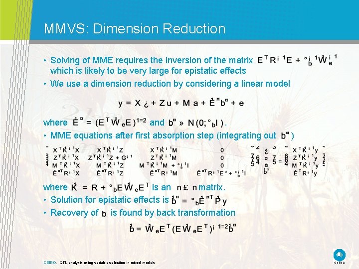 MMVS: Dimension Reduction • Solving of MME requires the inversion of the matrix which MMVS: Dimension Reduction • Solving of MME requires the inversion of the matrix which