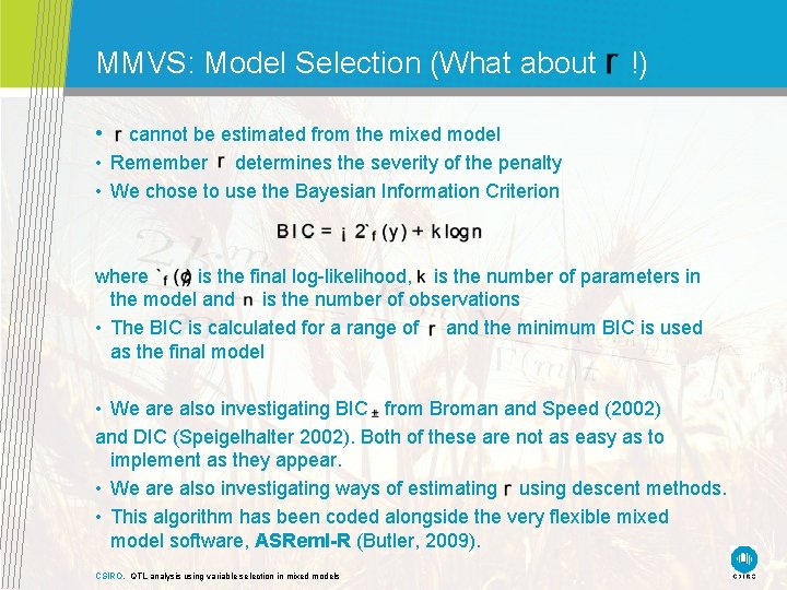 MMVS: Model Selection (What about !) • cannot be estimated from the mixed model MMVS: Model Selection (What about !) • cannot be estimated from the mixed model