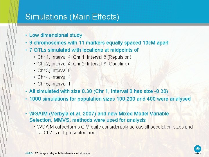 Simulations (Main Effects) • Low dimensional study • 9 chromosomes with 11 markers equally Simulations (Main Effects) • Low dimensional study • 9 chromosomes with 11 markers equally