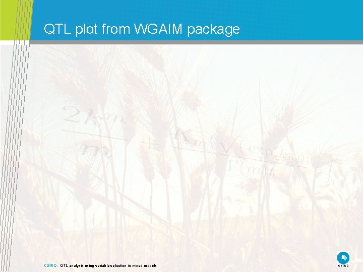 QTL plot from WGAIM package CSIRO. QTL analysis using variable selection in mixed models QTL plot from WGAIM package CSIRO. QTL analysis using variable selection in mixed models