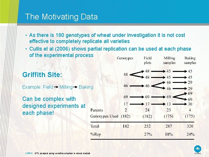 The Motivating Data • As there is 180 genotypes of wheat under investigation it The Motivating Data • As there is 180 genotypes of wheat under investigation it