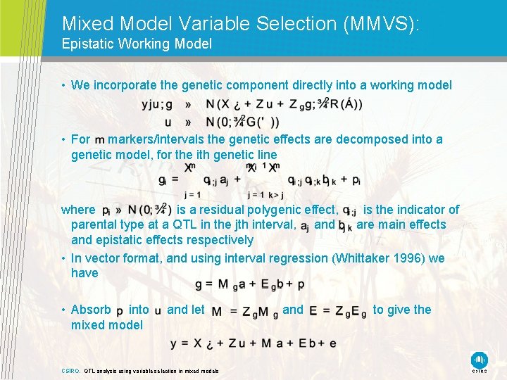 Mixed Model Variable Selection (MMVS): Epistatic Working Model • We incorporate the genetic component Mixed Model Variable Selection (MMVS): Epistatic Working Model • We incorporate the genetic component