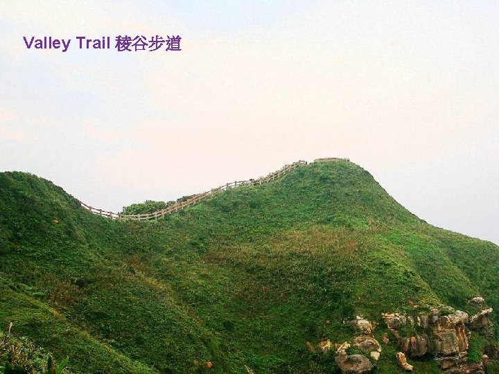 Valley Trail 稜谷步道 