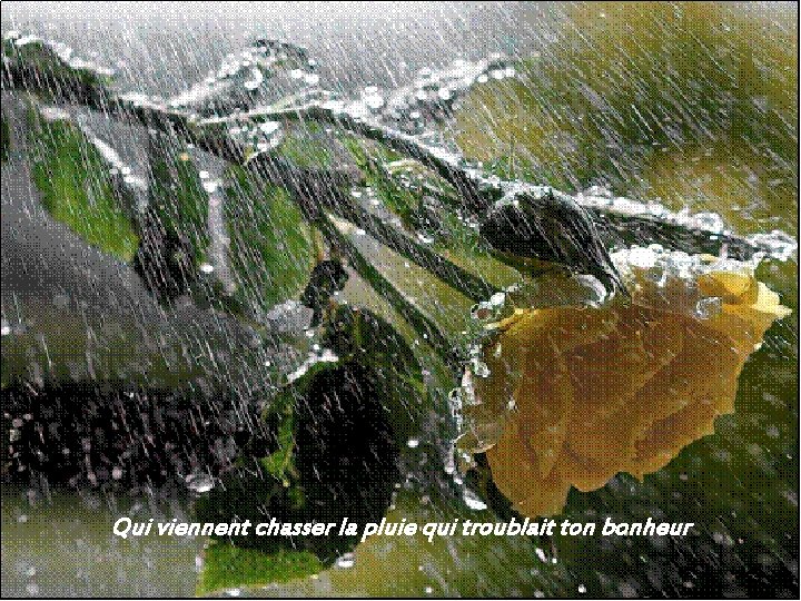 Qui viennent chasser la pluie qui troublait ton bonheur 