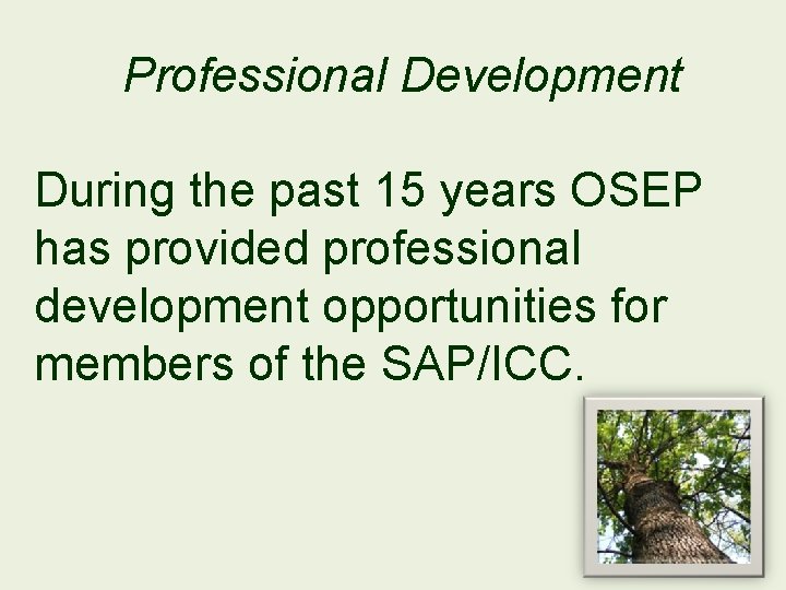 Professional Development During the past 15 years OSEP has provided professional development opportunities for