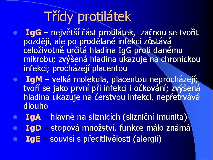 Třídy protilátek l l l Ig. G – největší část protilátek, začnou se tvořit