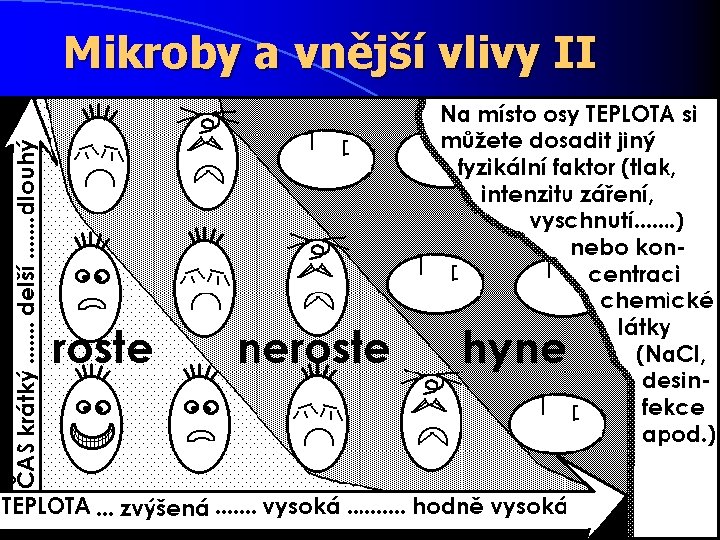 Mikroby a vnější vlivy II 