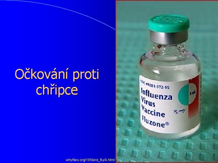 Očkování proti chřipce whyfiles. org/195 bird_flu/4. html 