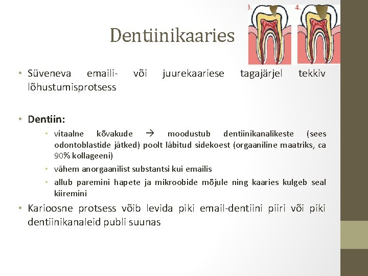 Dentiinikaaries • Süveneva emaililõhustumisprotsess või juurekaariese tagajärjel tekkiv • Dentiin: • vitaalne kõvakude moodustub