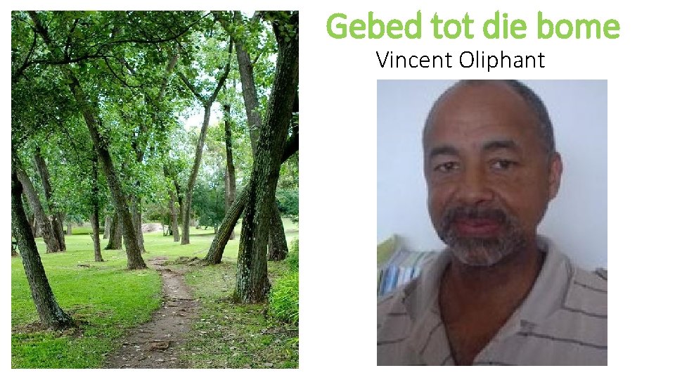 Gebed tot die bome Vincent Oliphant 