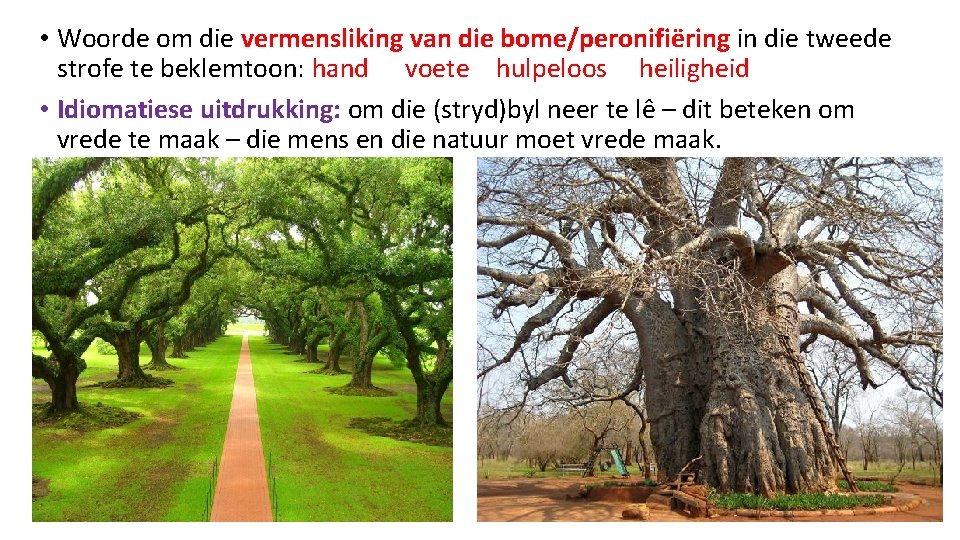  • Woorde om die vermensliking van die bome/peronifiëring in die tweede strofe te