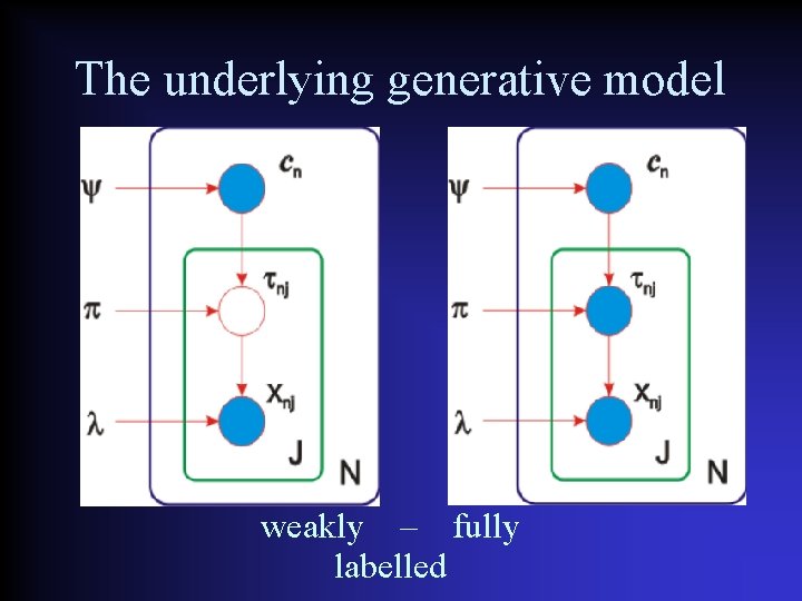 The underlying generative model weakly – fully labelled 