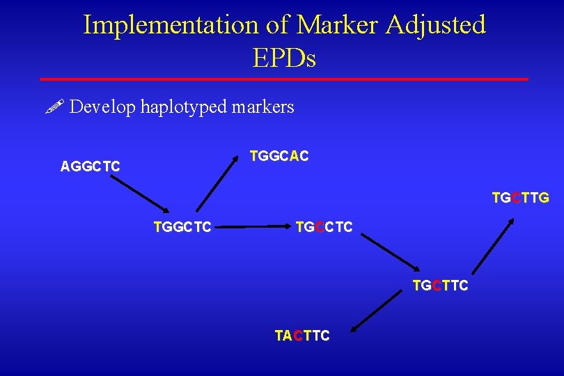 Implementation of Marker Adjusted EPDs ! Develop haplotyped markers TGGCAC AGGCTC T G CT