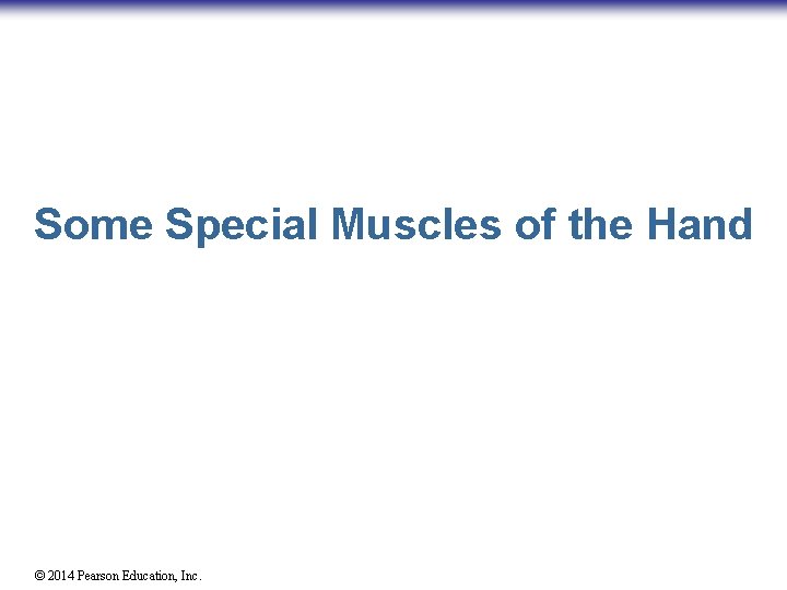 Some Special Muscles of the Hand © 2014 Pearson Education, Inc. 