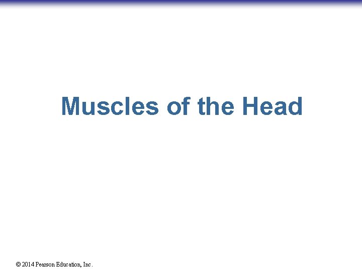 Muscles of the Head © 2014 Pearson Education, Inc. 