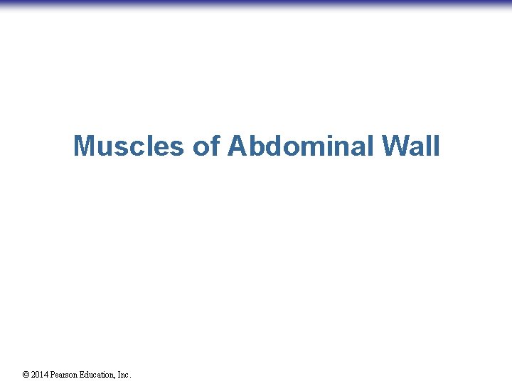 Muscles of Abdominal Wall © 2014 Pearson Education, Inc. 