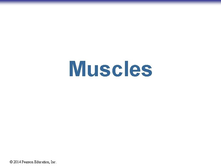 Muscles © 2014 Pearson Education, Inc. 
