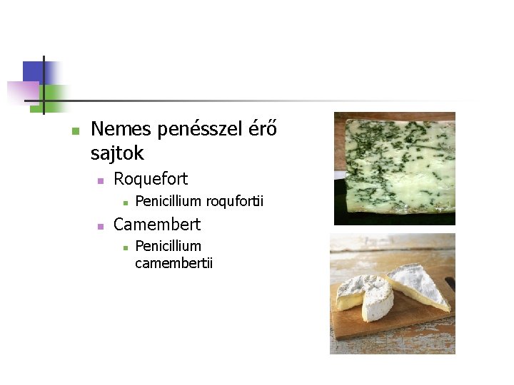 n Nemes penésszel érő sajtok n Roquefort n n Penicillium roqufortii Camembert n Penicillium