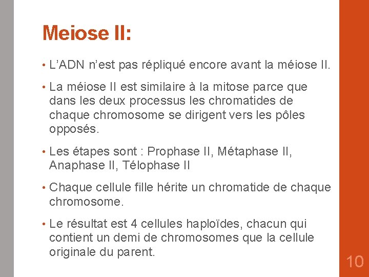 Meiose II: • L’ADN n’est pas répliqué encore avant la méiose II. • La