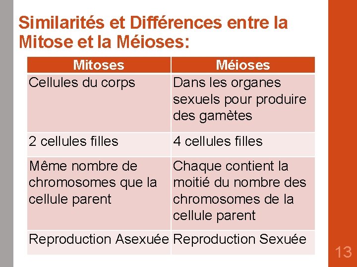 Similarités et Différences entre la Mitose et la Méioses: Mitoses Cellules du corps Méioses