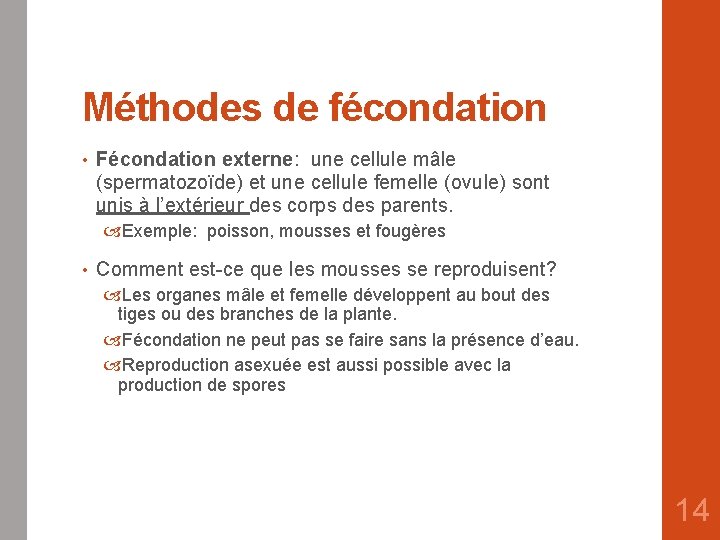 Méthodes de fécondation • Fécondation externe: une cellule mâle (spermatozoïde) et une cellule femelle