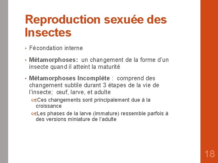 Reproduction sexuée des Insectes • Fécondation interne • Métamorphoses: un changement de la forme