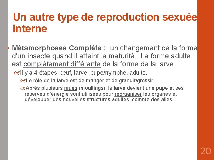 Un autre type de reproduction sexuée interne • Métamorphoses Complète : un changement de