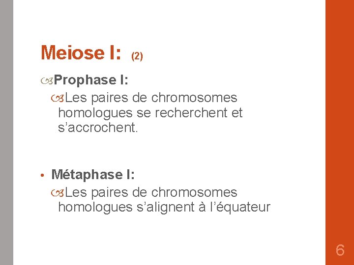 Meiose I: (2) Prophase I: Les paires de chromosomes homologues se recherchent et s’accrochent.