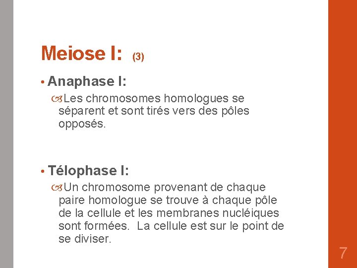 Meiose I: (3) • Anaphase I: Les chromosomes homologues se séparent et sont tirés